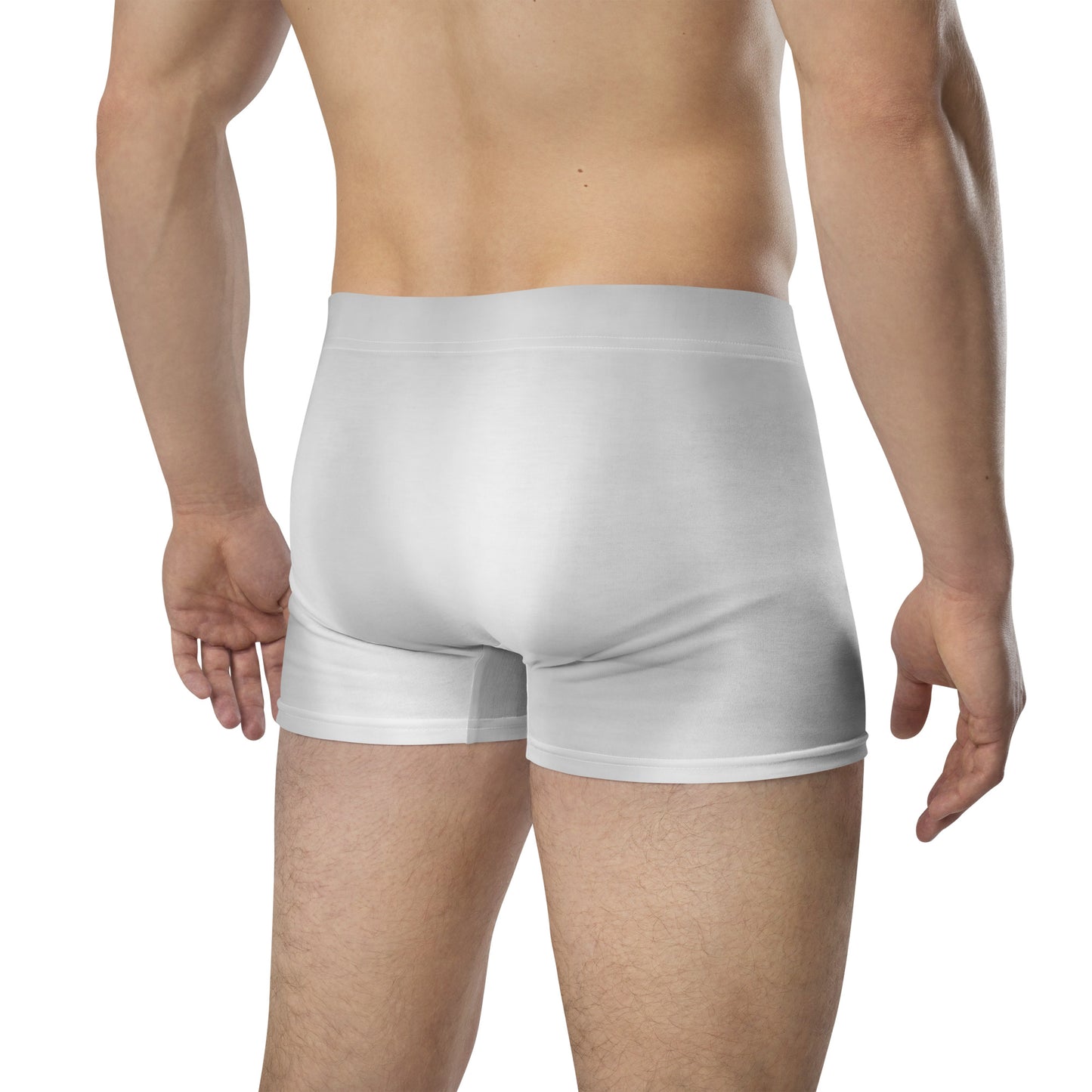 LBS Silver Spotlight Boxer Briefs